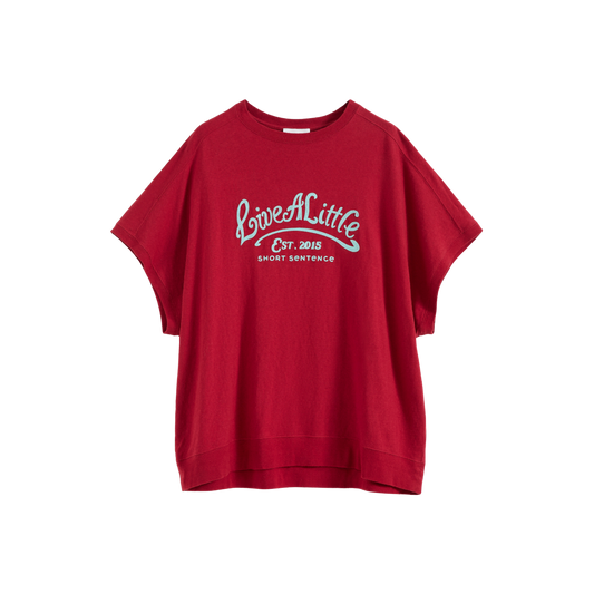 Loose Fit Embroidered T-shirt