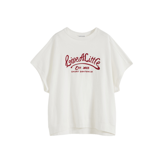 Loose Fit Embroidered T-shirt